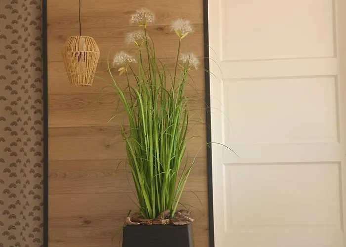 Corsappart * بورتو فيكشْيو